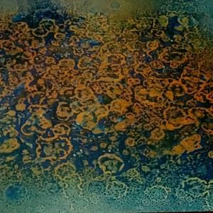 Meet your Posher, Amin